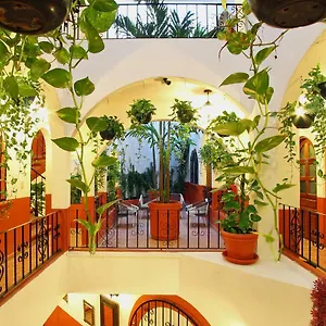 el-patio-apartments.allrivieramayahotels.com/